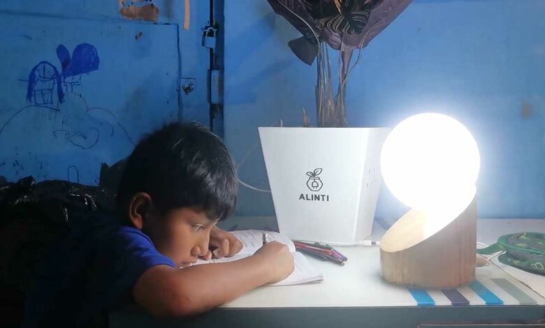Un enfant fait ses devoirs avec une lumière alimentée par une plante.
