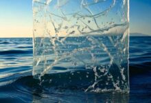 Un film plastique qui se dissout avec l'eau de mer.