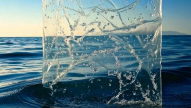 Un film plastique qui se dissout avec l'eau de mer.
