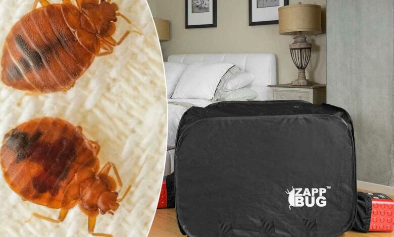 Une chambre de chauffe pour tuer les punaises de lit.
