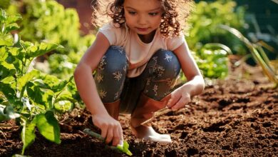 Une enfant sème des plantes dans un potager.