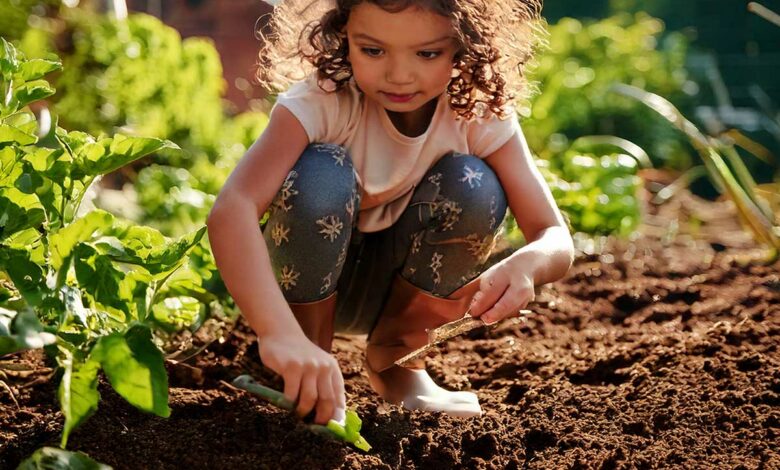Une enfant sème des plantes dans un potager.