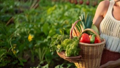 Les erreurs les plus courantes au jardin potager.