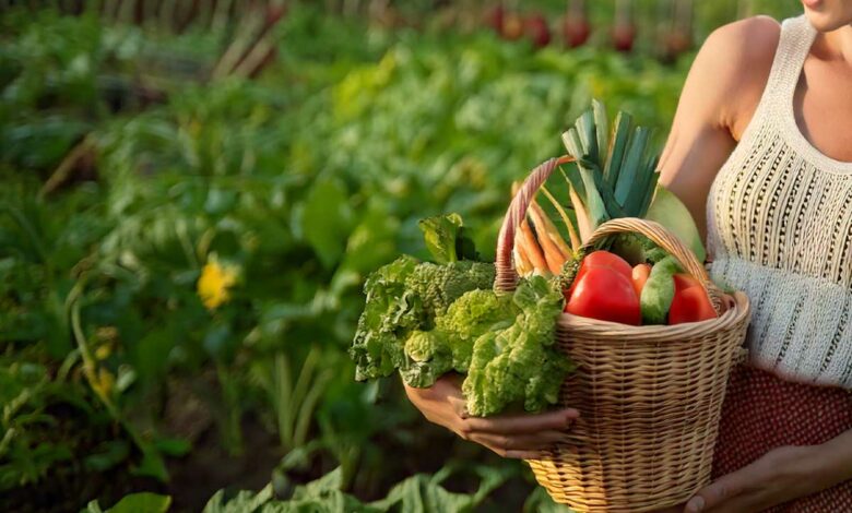 Les erreurs les plus courantes au jardin potager.