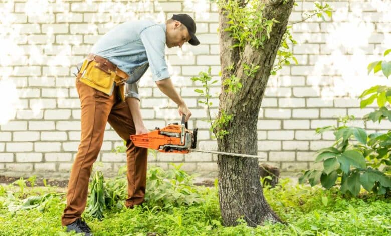Un homme coupe un arbre avec une tronçonneuse.