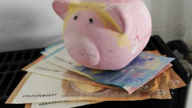 Une tirelire et quelques billets.