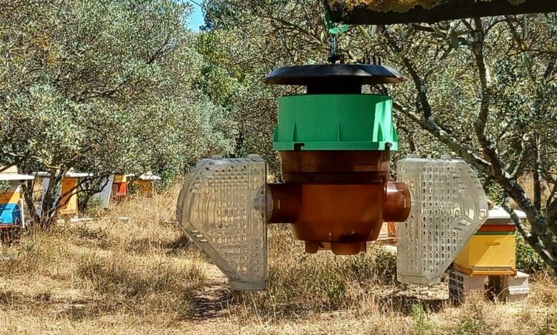 Un piège à frelon asiatique BeeVital.