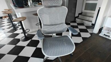 La chaise de bureau ergonomique SIHOO DORO C300