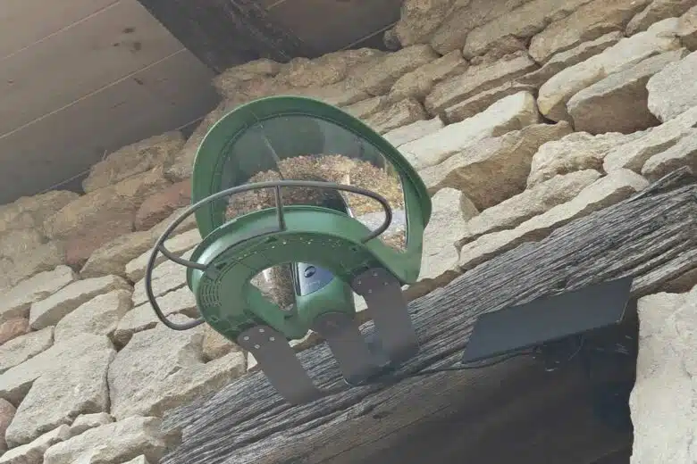 Une mangeoire connectée pour les amoureux de la nature. 