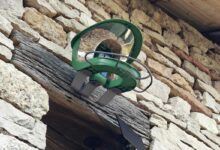 Birdfy 2 Pro Mangeoire Oiseaux avec 2K Dual-Caméra pour Observation