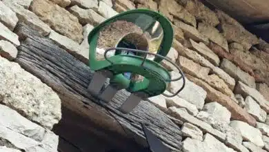 Birdfy 2 Pro Mangeoire Oiseaux avec 2K Dual-Caméra pour Observation