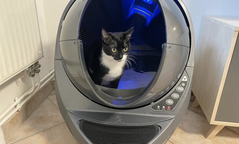 Premier test validé par Oups dans le Litter-Robot 3 Connect, sous lumière bleutée apaisante.