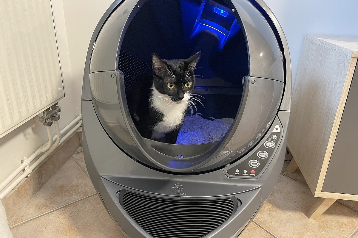 Premier test validé par Oups dans le Litter-Robot 3 Connect, sous lumière bleutée apaisante.