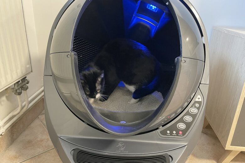 Luna inspecte le tambour du Litter-Robot 3 Connect, l’air déjà convaincue par l’innovation.