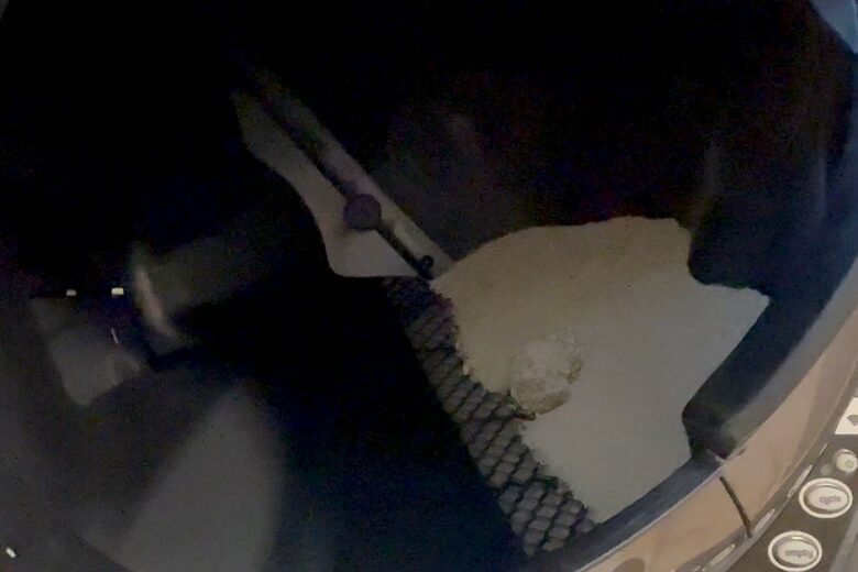 Zoom sur le tambour du Litter-Robot 3 Connect juste après un passage félin discret.