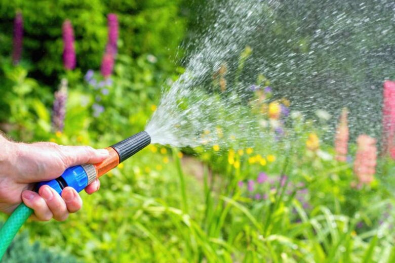 Un tuyau d'arrosage pour le jardin.