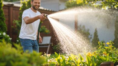 Un homme arrose son jardin.