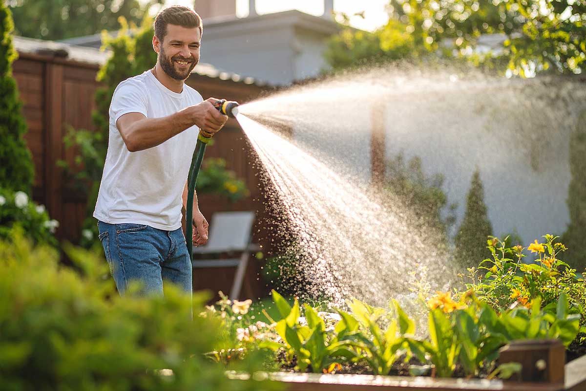 Un homme arrose son jardin.