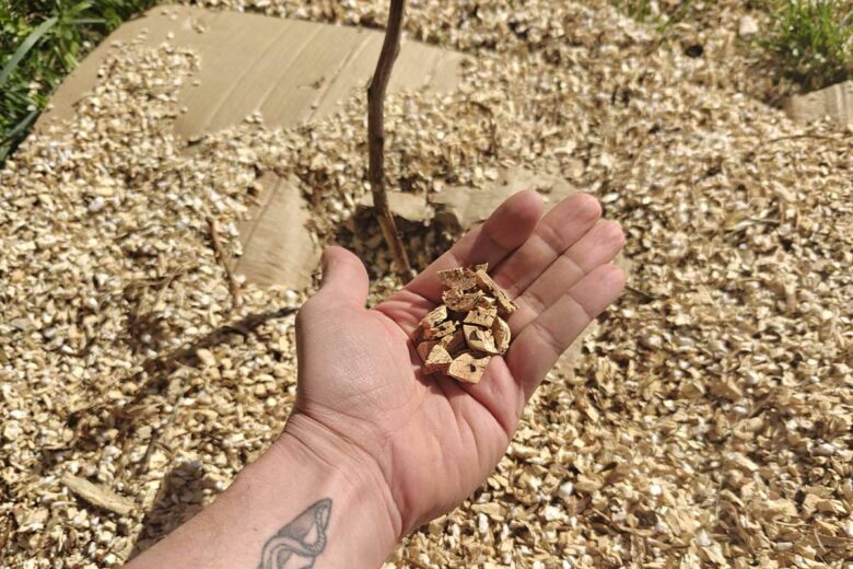 Les bouchons de liège usés peuvent servir de paillage dans le jardin.