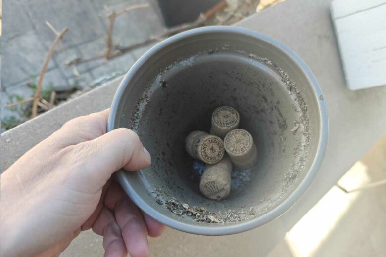 Des bouchons de lièges au fond des pots absorbent l'excès d'eau.