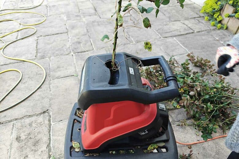 Les déchets de taille de rosiers sont broyés.