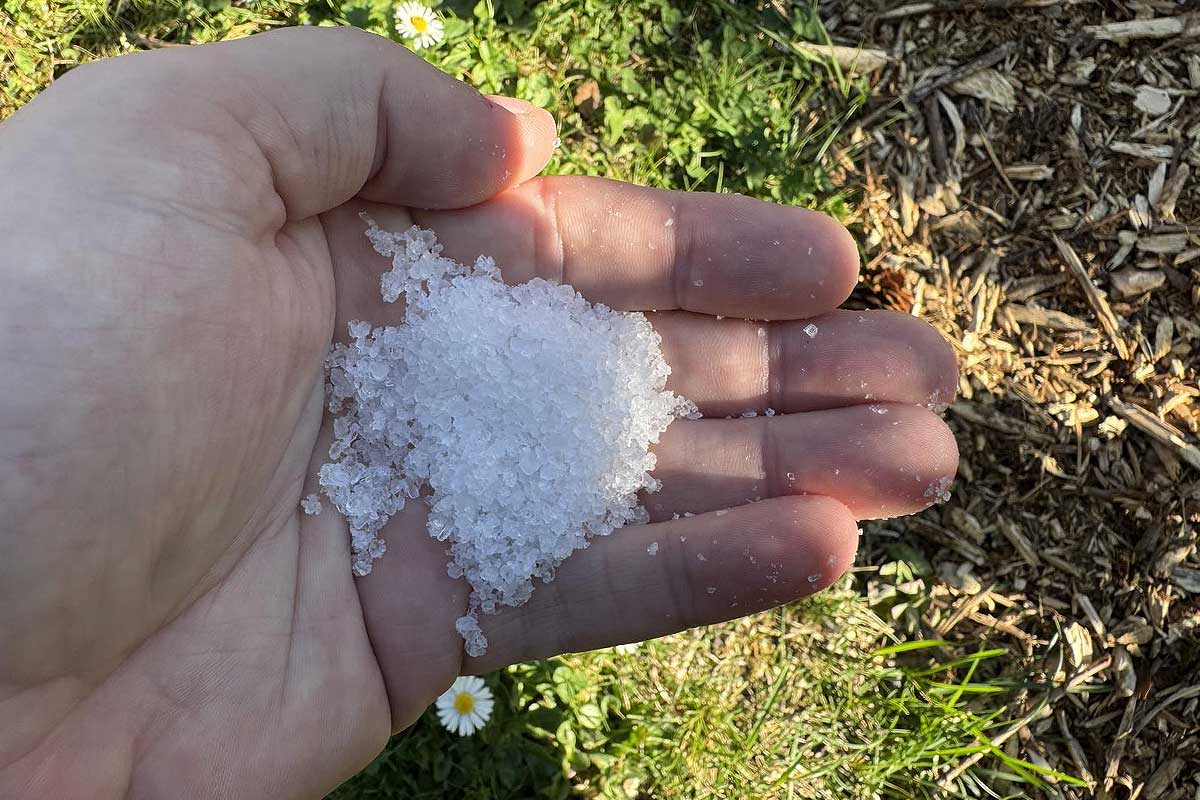 Une poignée de gros sel.