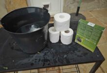 Un sceau, du papier toilette et des graines de gazon.