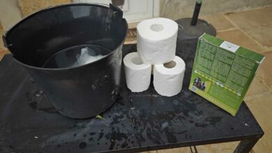 Un sceau, du papier toilette et des graines de gazon.