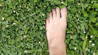 Un pied dans l'herbe du jardin.