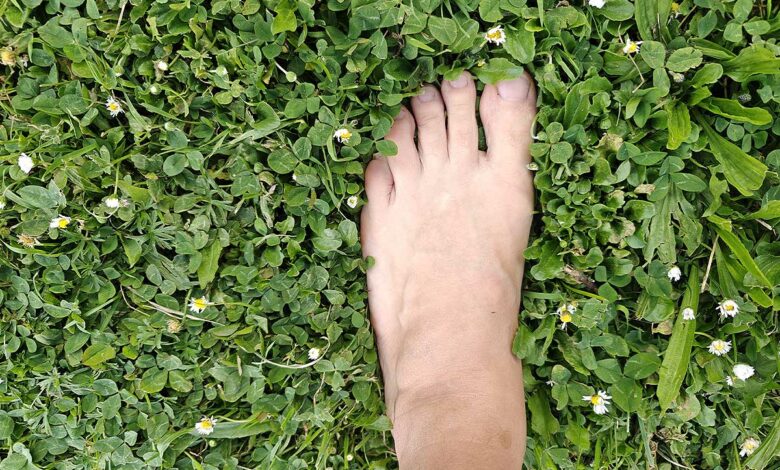 Un pied dans l'herbe du jardin.