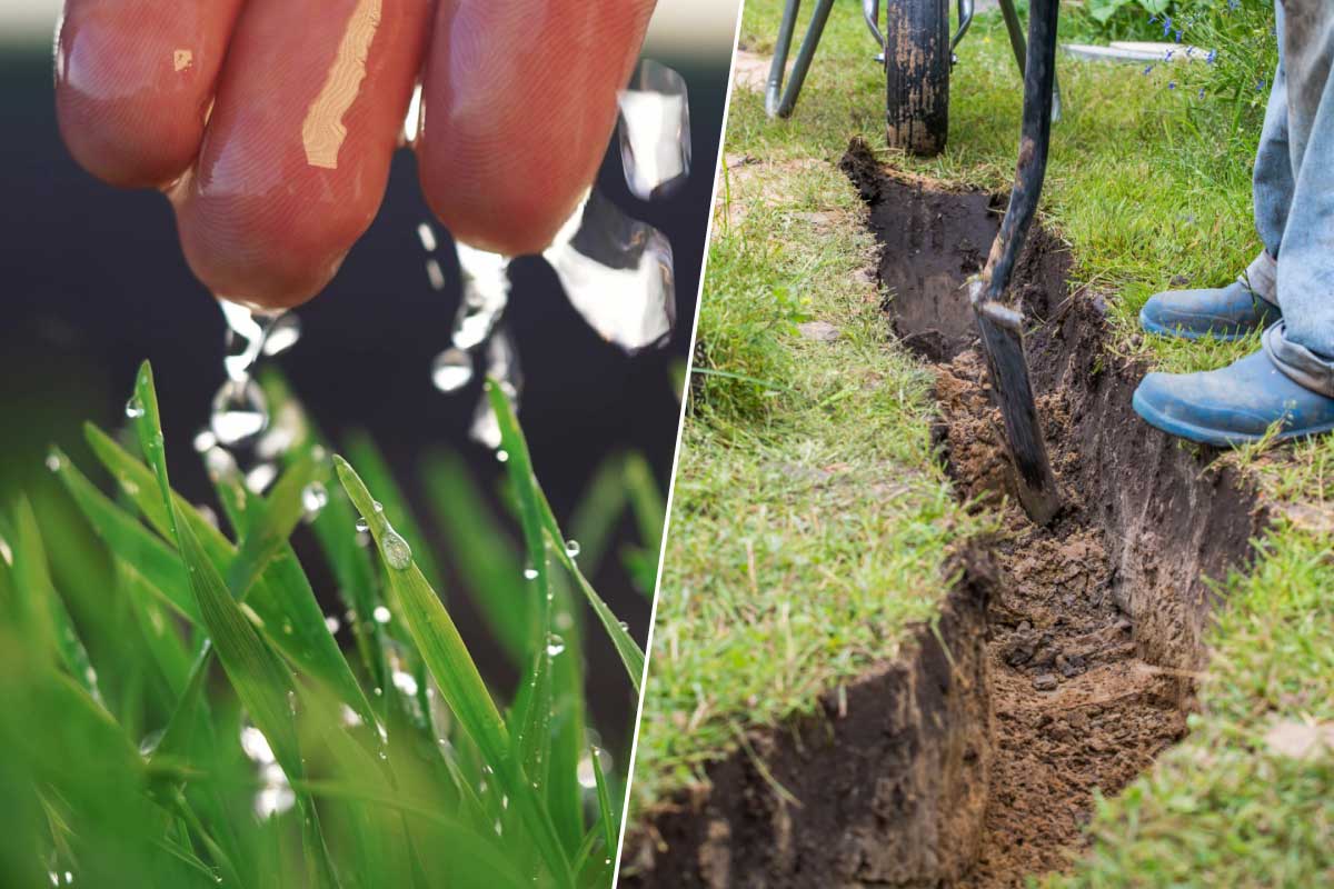 La « plantation d'eau de pluie » est utilisée en Ardèche. Photo d'illustration non contractuelle. Crédit : Shutterstock (montage photo : A. Bonazzi pour NeozOne).
