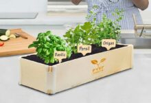 Un bac pour potager d'intérieur.