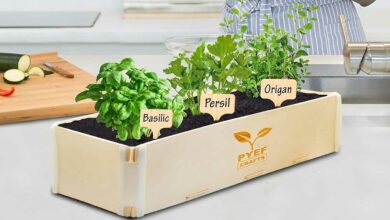 Un bac pour potager d'intérieur.