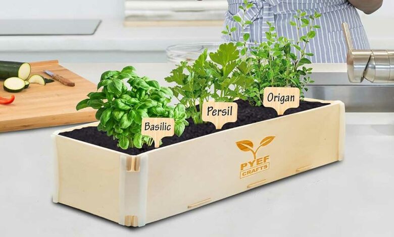 Un bac pour potager d'intérieur.