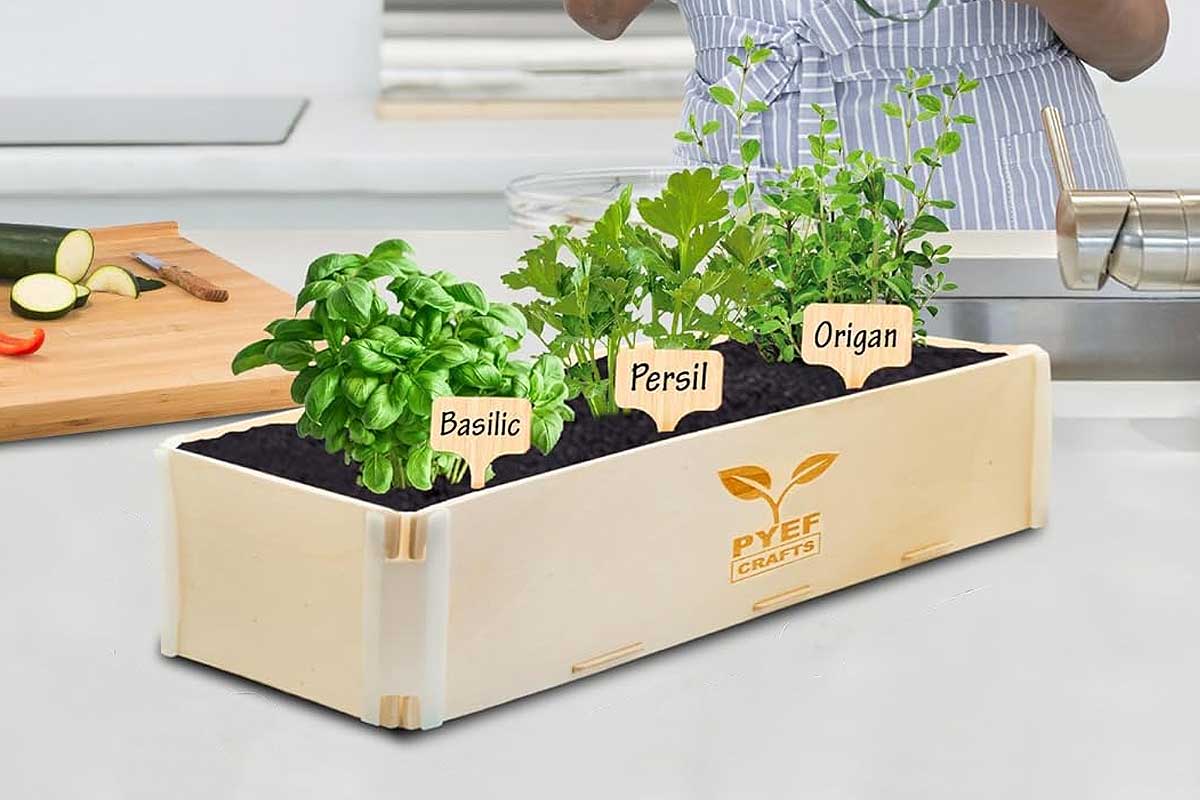 Un bac pour potager d'intérieur.