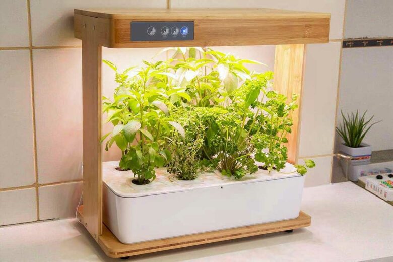 Une jardinière d'intérieur éclairée.