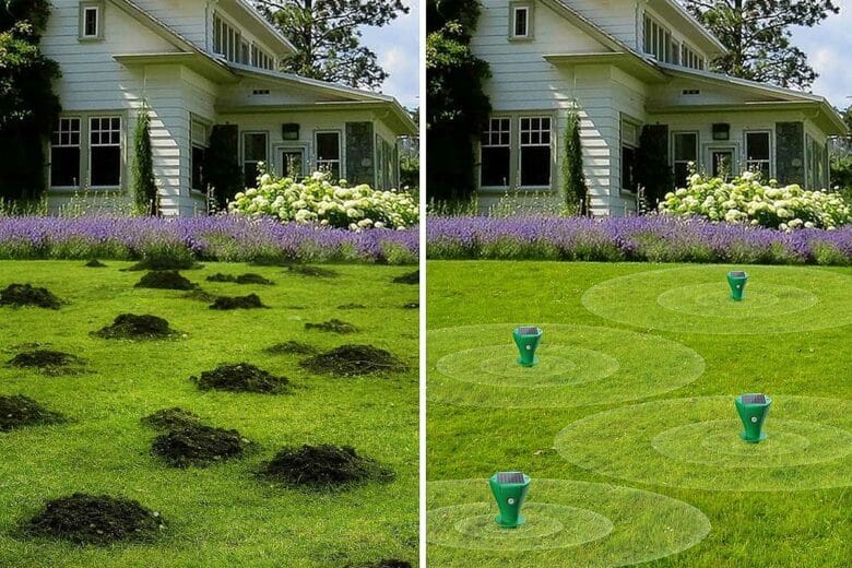 Bornes à ultrason dans le jardin.