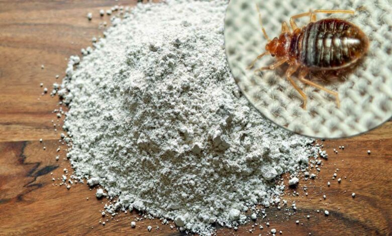 La terre de diatomée est efficace contre de nombreux insectes dont les punaises de lit.