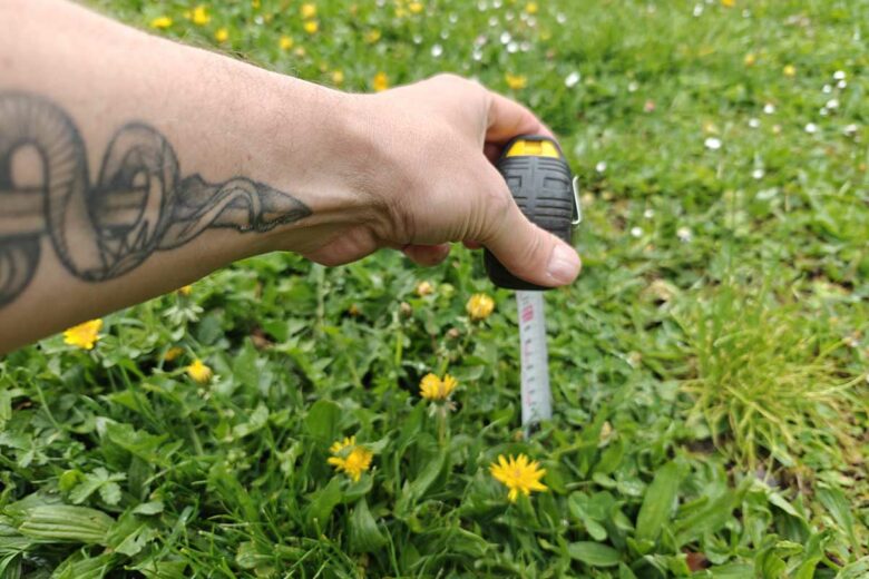 Pourquoi il est important de ne pas tondre trop court son jardin ?