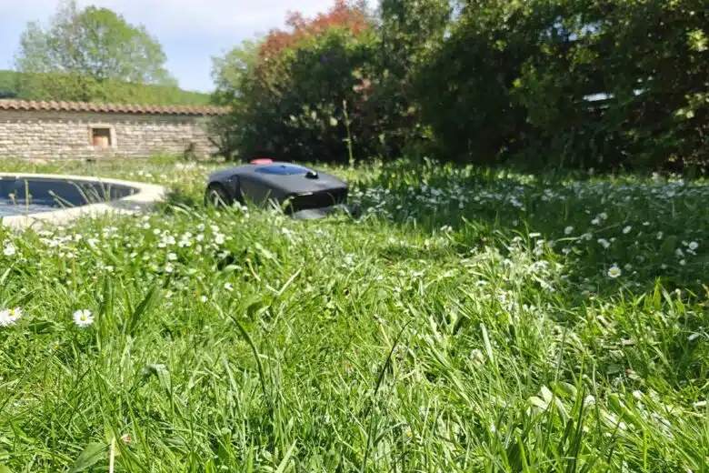L'entretien du jardin par un robot tondeuse.