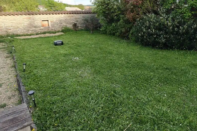 Un robot tondeuse entretient le jardin.