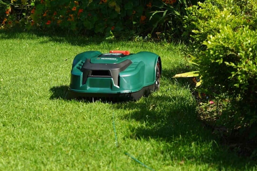 Un jardin entretenu par un robot tondeuse.