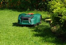 Un jardin entretenu par un robot tondeuse.