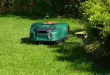 Un jardin entretenu par un robot tondeuse.