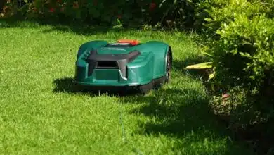 Un jardin entretenu par un robot tondeuse.