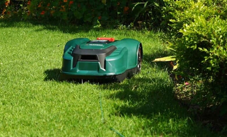 Un jardin entretenu par un robot tondeuse.