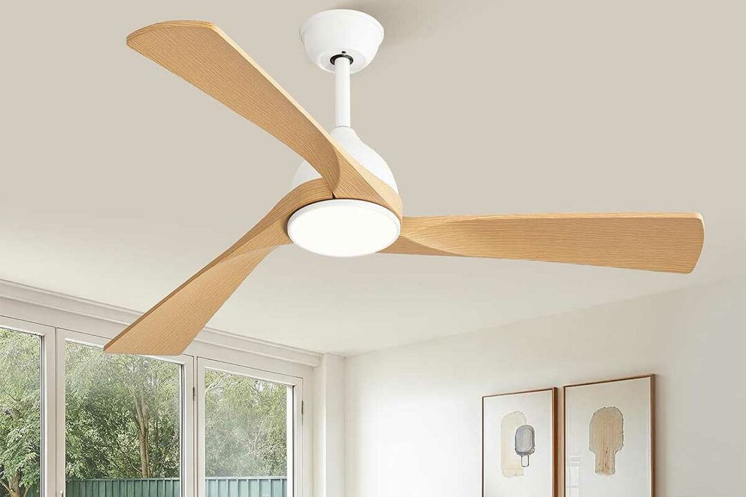 Un ventilateur de plafond.