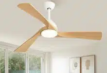 Un ventilateur de plafond.