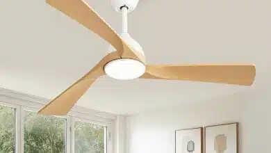 Un ventilateur de plafond.