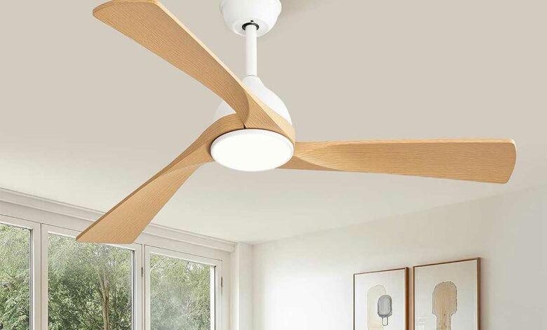Un ventilateur de plafond.